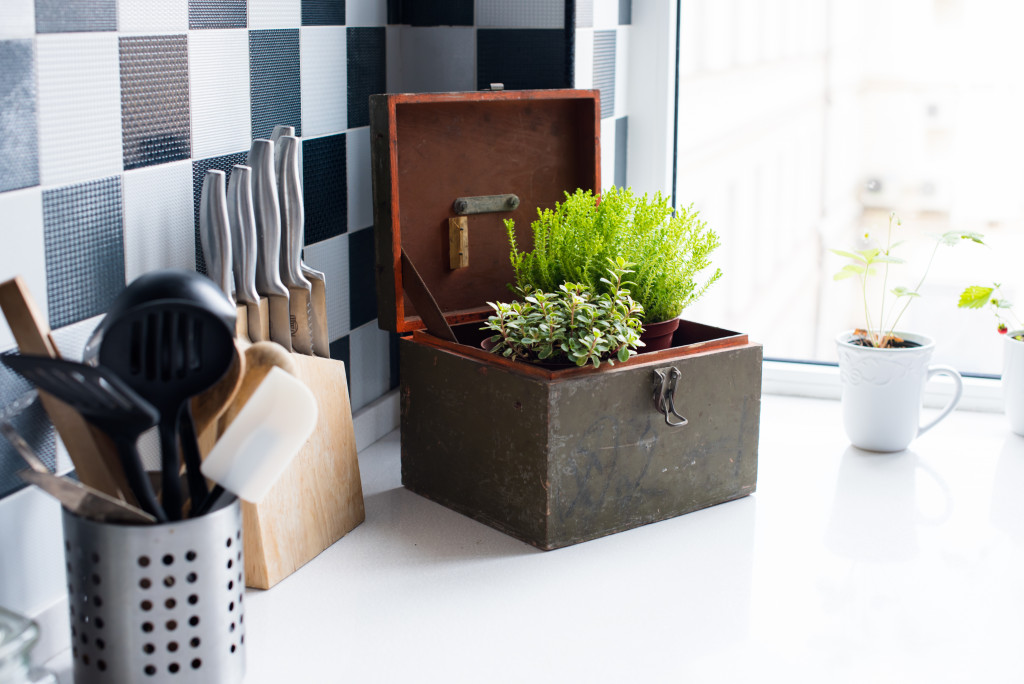 a kitchen counter with utensils and plants