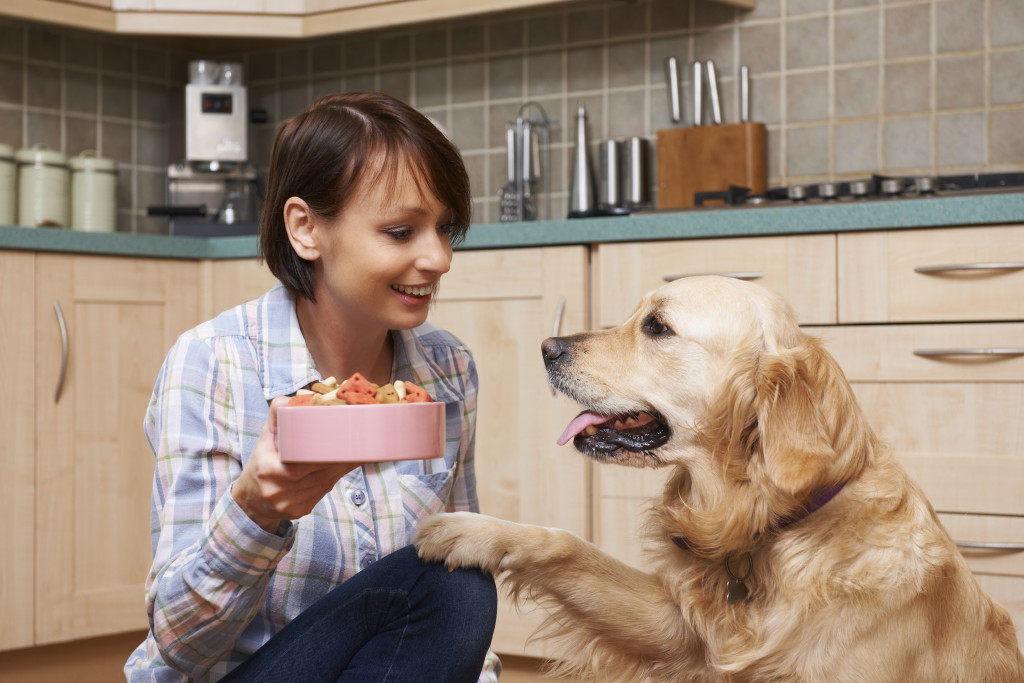 woman feeding her dog