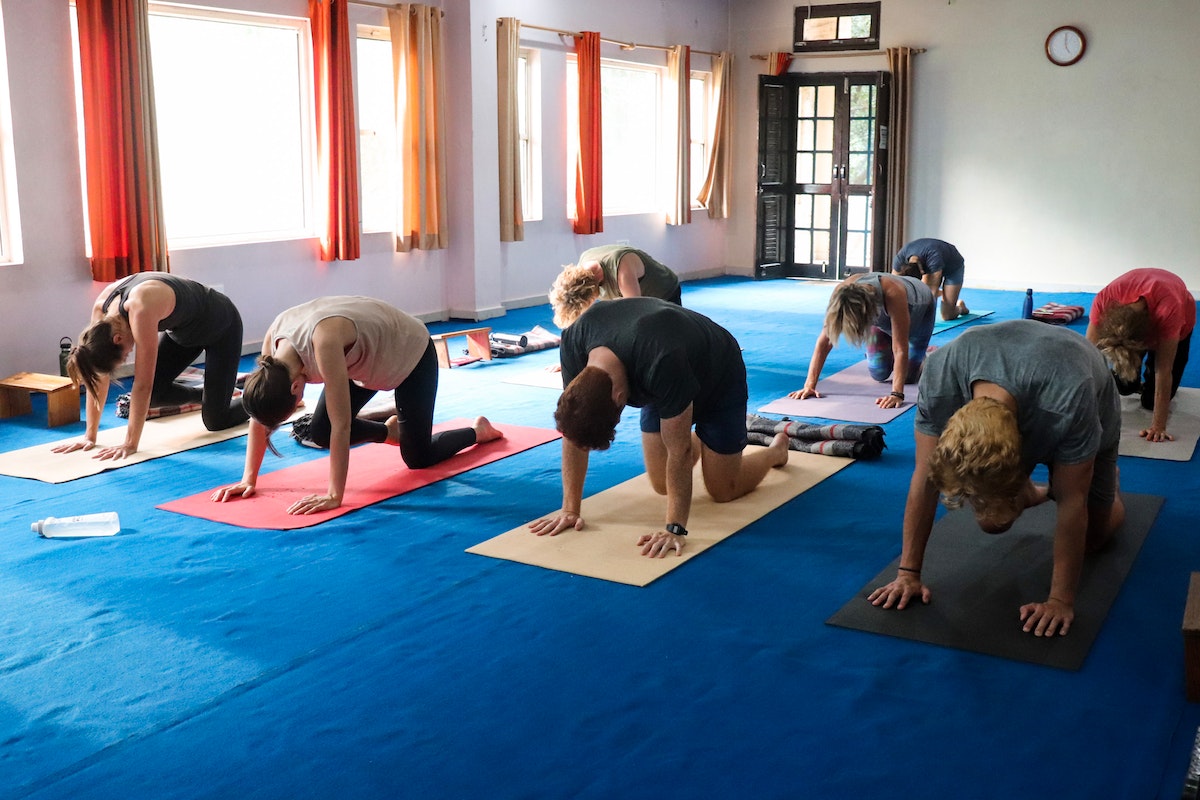 Group of People Doing Yoga